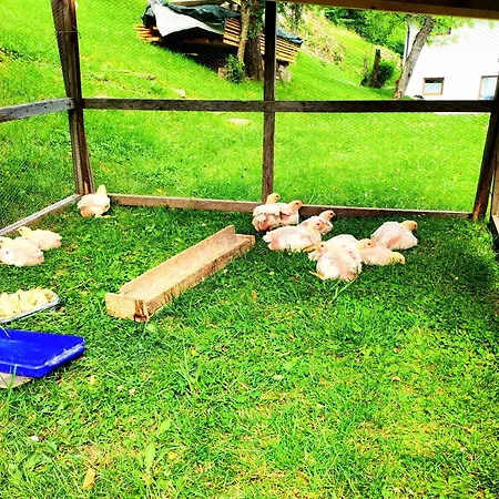 Haus Primosch * Schiefling am See