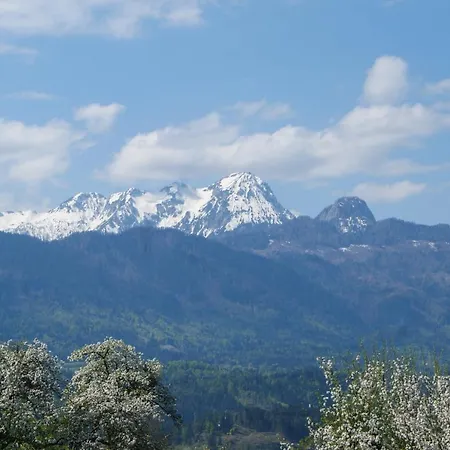 Kwatera prywatna Haus Primosch *