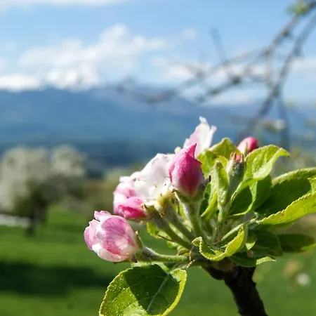 Haus Primosch * Schiefling am See