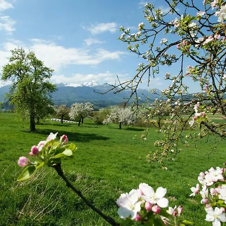 Haus Primosch