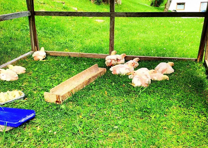 Haus Primosch * Schiefling am See