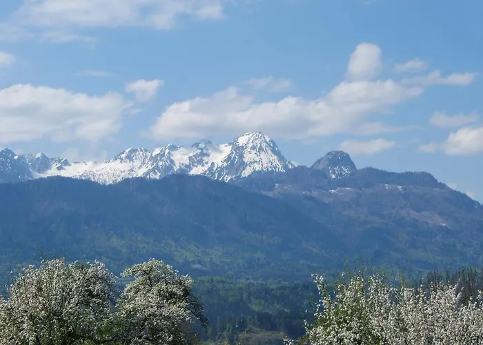 Homestay szállás Haus Primosch *