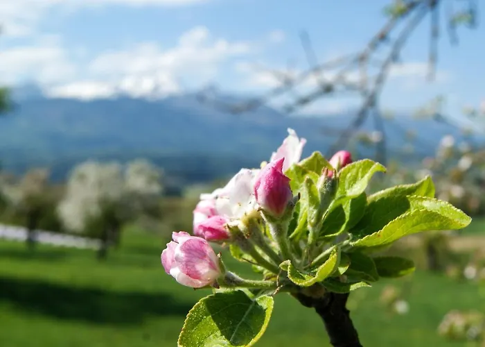 Haus Primosch * Schiefling am See